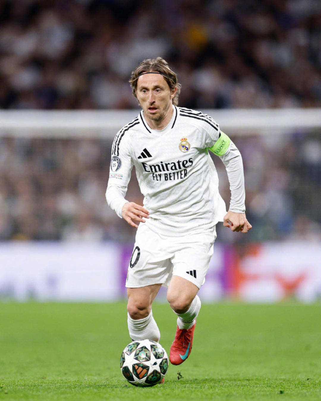 篮球勇士替补大前锋表现惊艳